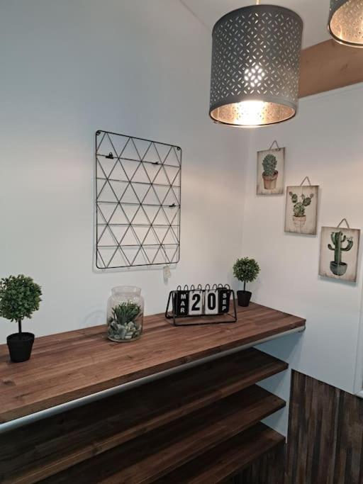 Studio Dans Maison Avec Jardin Et Balcon, Au Calme Serezin-du-Rhone Luaran gambar