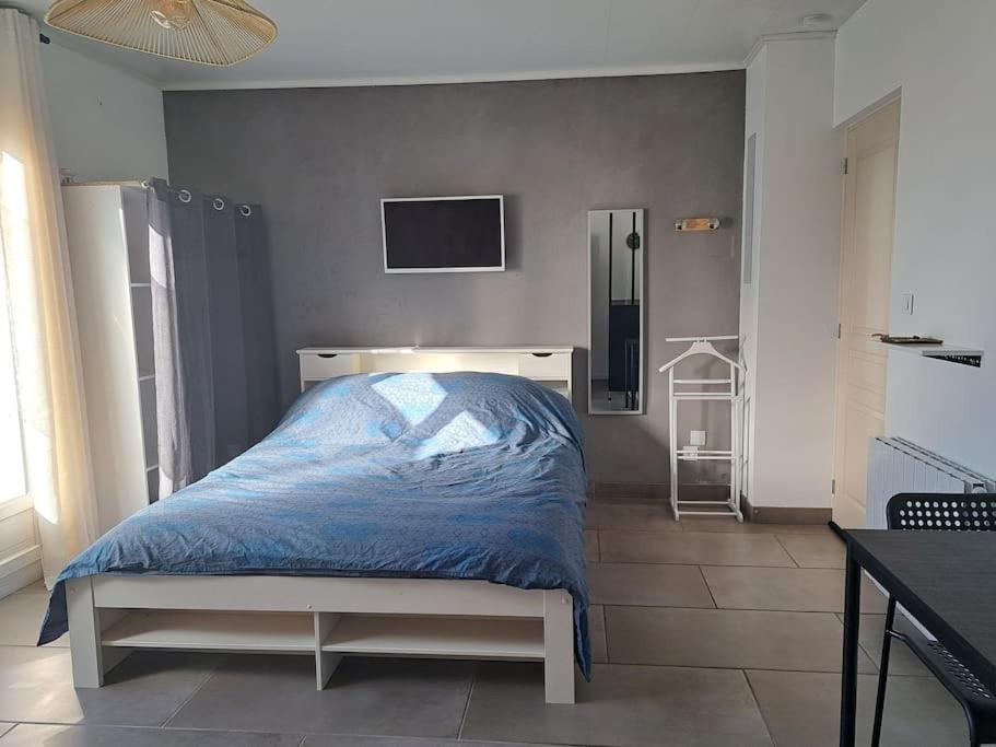 Studio Dans Maison Avec Jardin Et Balcon, Au Calme Serezin-du-Rhone Luaran gambar