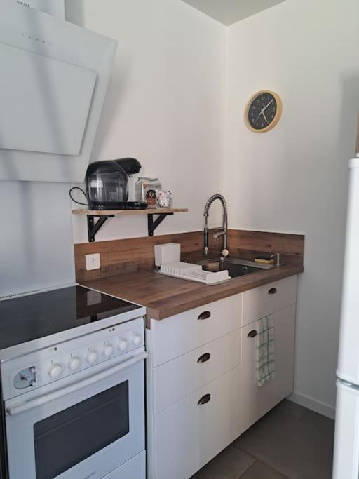 Studio Dans Maison Avec Jardin Et Balcon, Au Calme Serezin-du-Rhone Luaran gambar