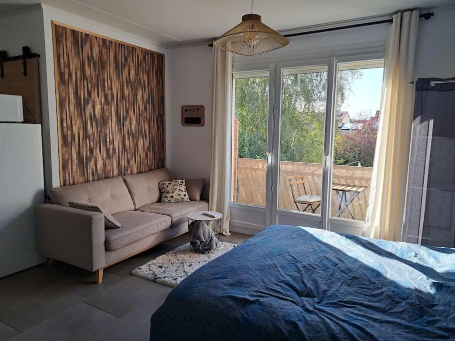 Studio Dans Maison Avec Jardin Et Balcon, Au Calme Serezin-du-Rhone Luaran gambar